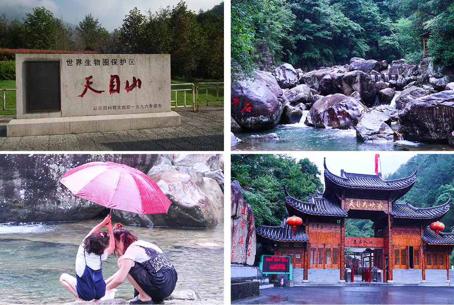 【钟情天目山】4日休闲游-上海五四团建公司