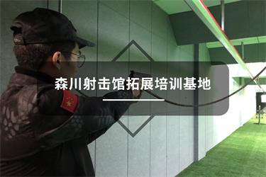文章附图