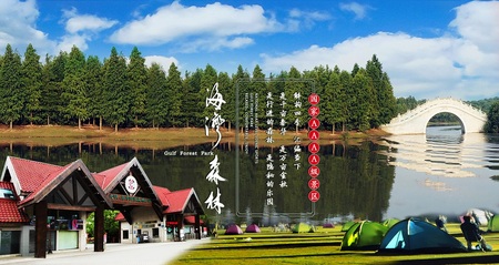 上海海湾森林公园趣味团建活动方案