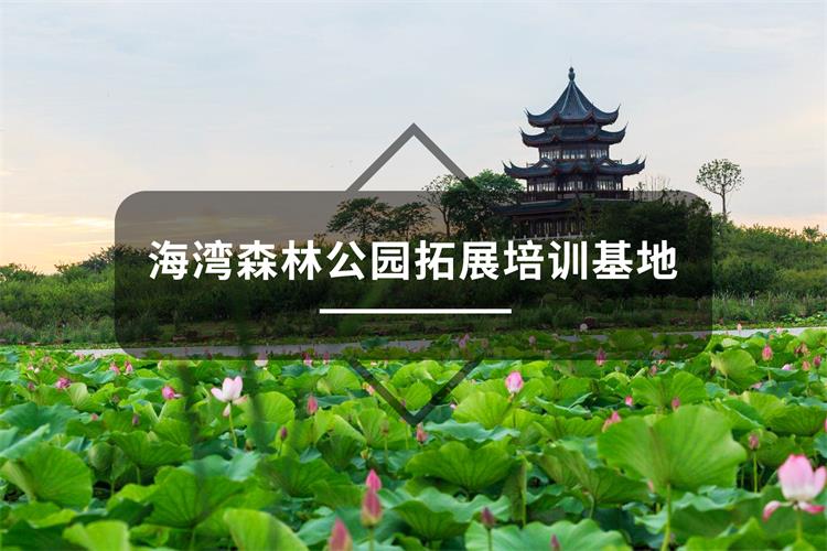 上海奉贤区海湾森林公园拓展培训基地-上海五四团建公司